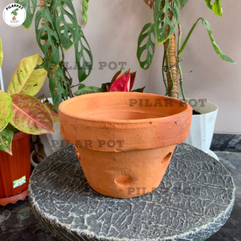 pot bunga tanaman anggrek tanah liat terracotta - POT ANGGREK TANAH