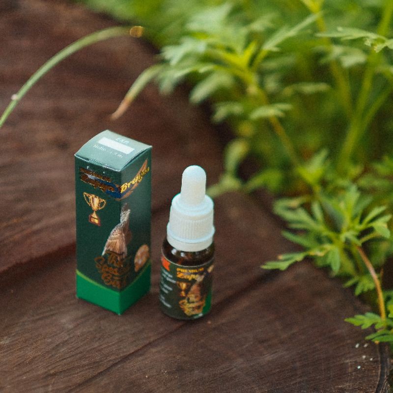 zapya brenjes, vitamin penggacor burung branjangan-2