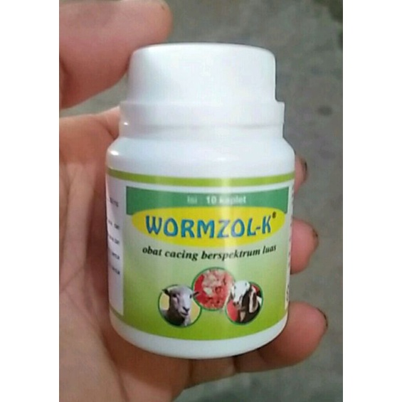 Jual Wormzol Kaplet Isi 10 Kaplet Obat Cacing Hewan Kambing | Shopee ...