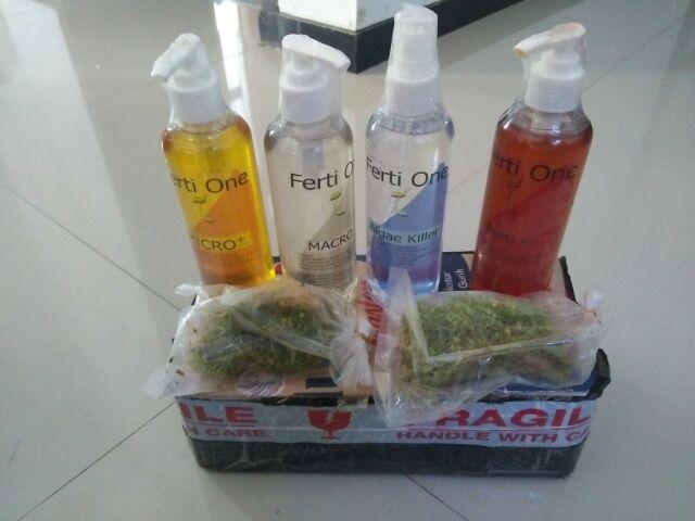 Ferti One Algae Killer Pembasmi Alga