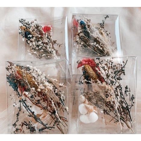 Seashelll and Dried Flowers Bundle - Paket Kerang dan Bunga Kering