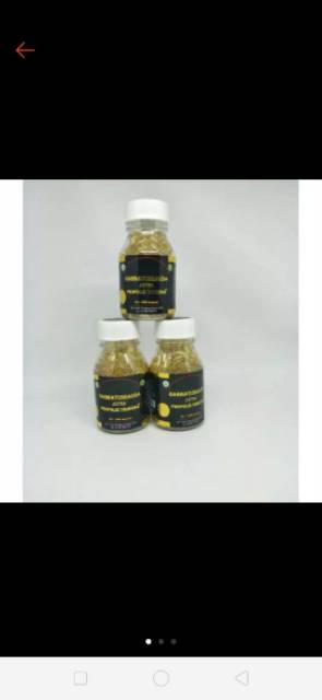 Habatussauda Trigona isi 200 pcs Herbal 100% Original