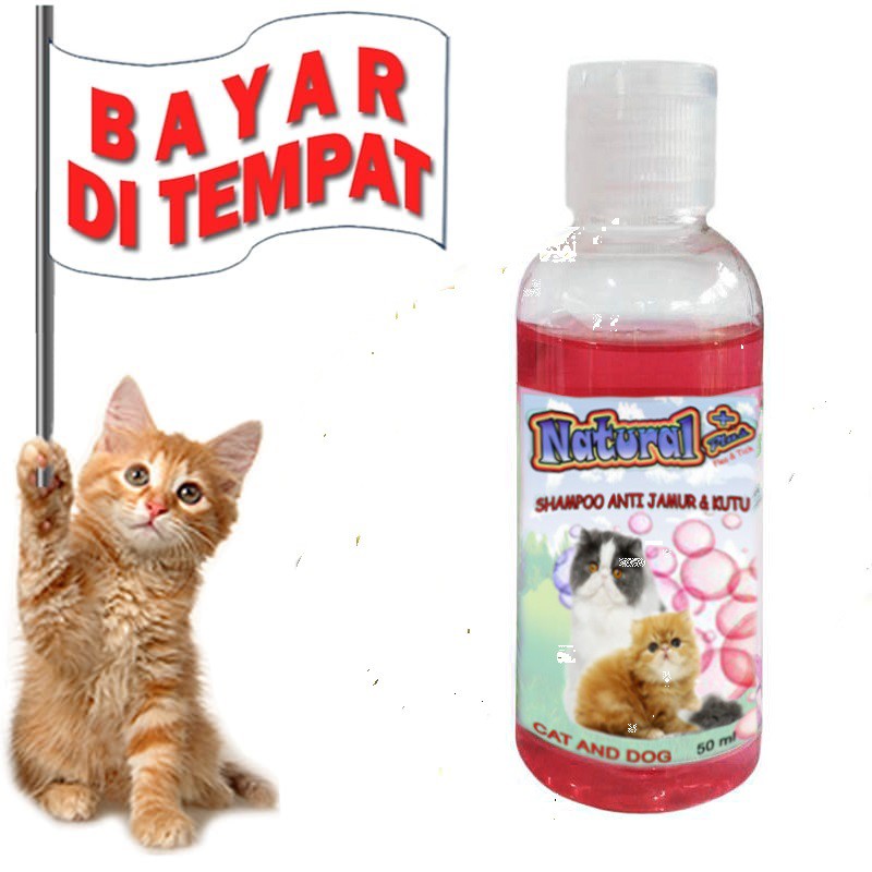 SAMPO KUCING MURAH NATURAL PLUS SHAMPO KUCING ANTI KUTU JAMUR AMPUH