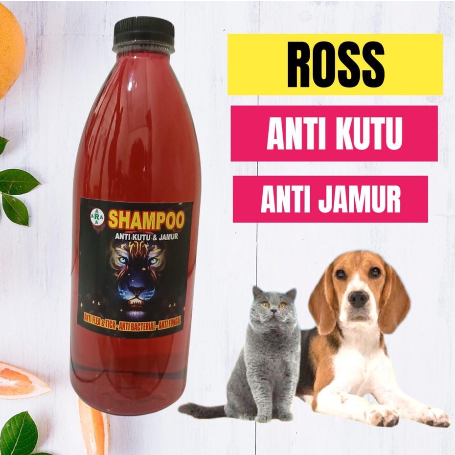 SAMPO KUCING/ANJING 600 ML ANTI KUTU JAMUR DAN MENCEGAH RONTOK