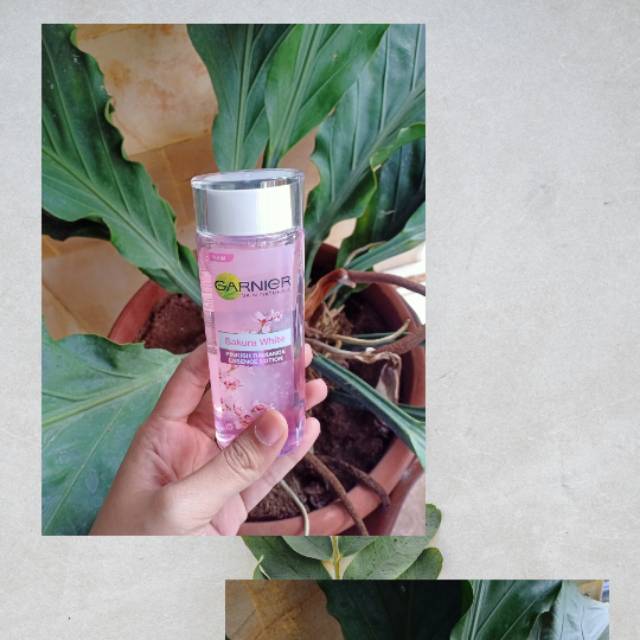 GARNIER Sakura White Essence lotion
