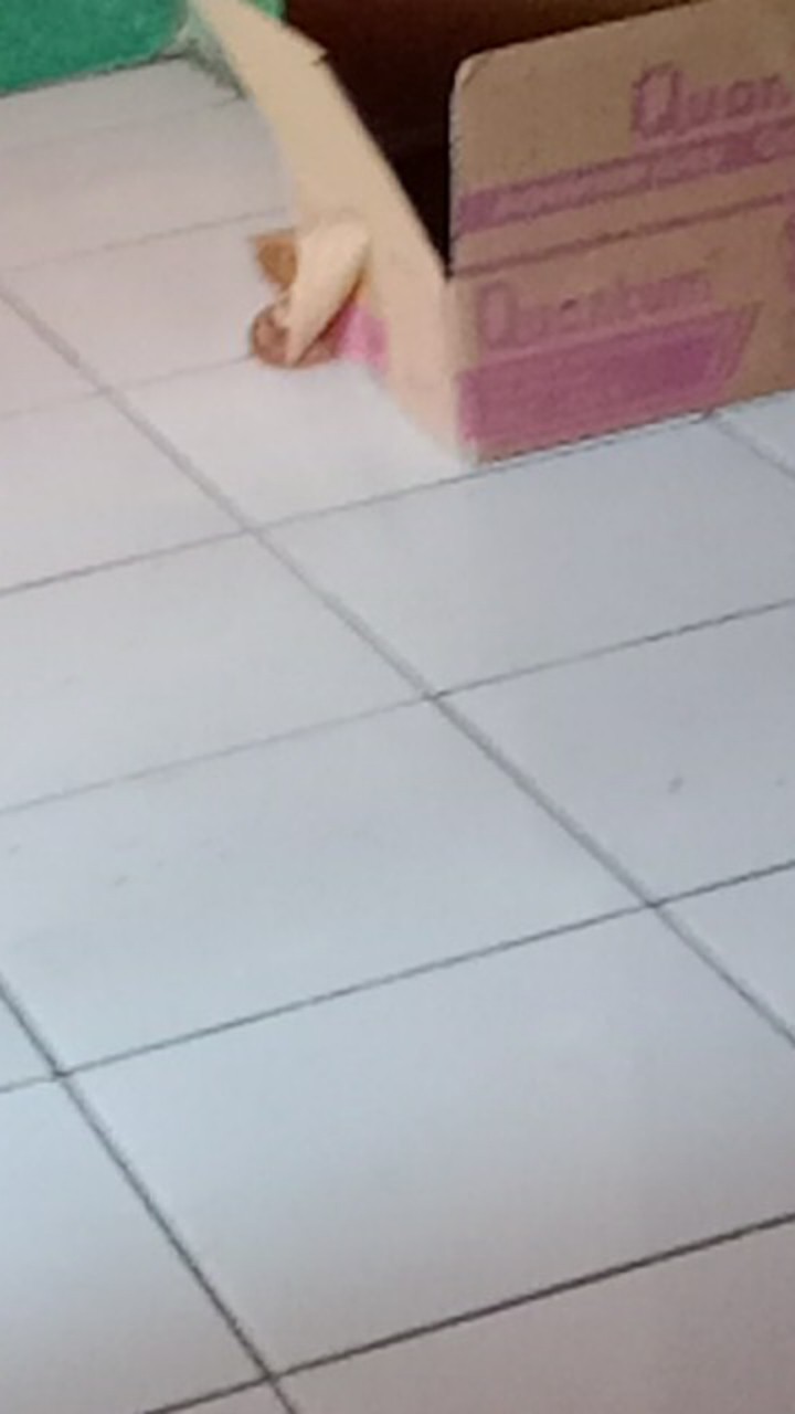 Paket Selang Regulator High Pressure Hitpro Dengan Meteran (regulator Tekanan Tinggi Hitpro) 8a-cs