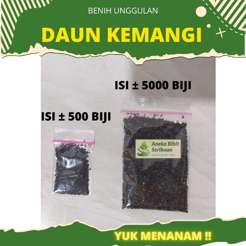 5000 Biji - Benih Kemangi Lalap Bibit Sayuran Unggul Berkualitas Tanaman Sayur Seribuan