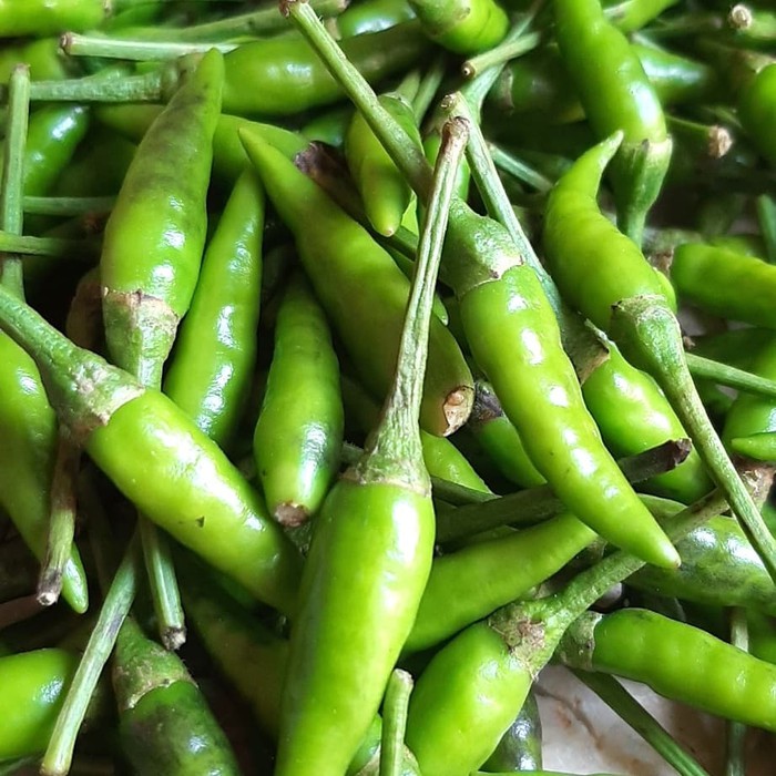 

Cabai Rawit Hijau 100 gram