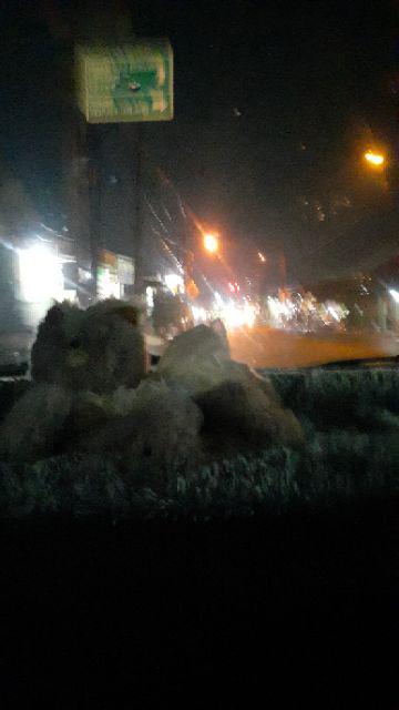 Kasur Lantai/karpet Bulu Rasfur/sofa Bed Isi Busa