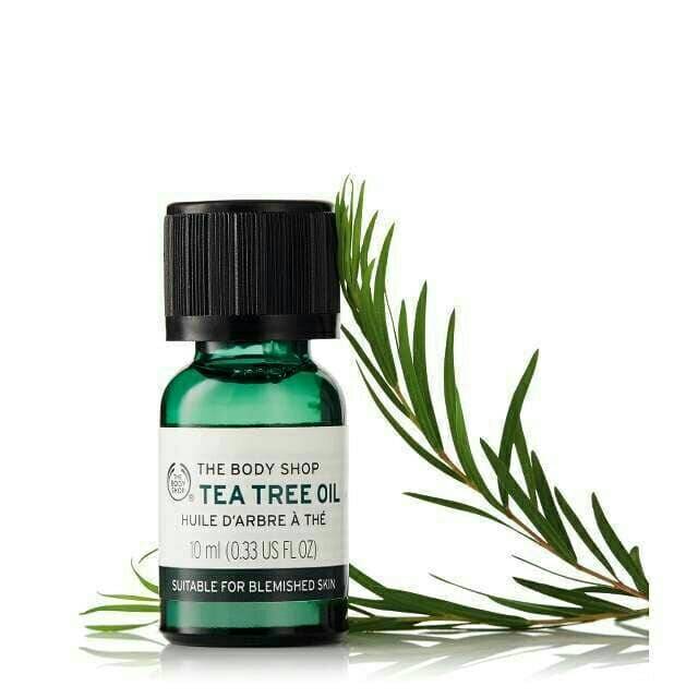 TEA TREE OIL 10ML / 20ML