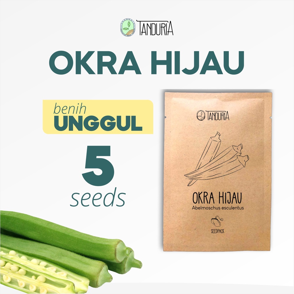 OKRA HIJAU