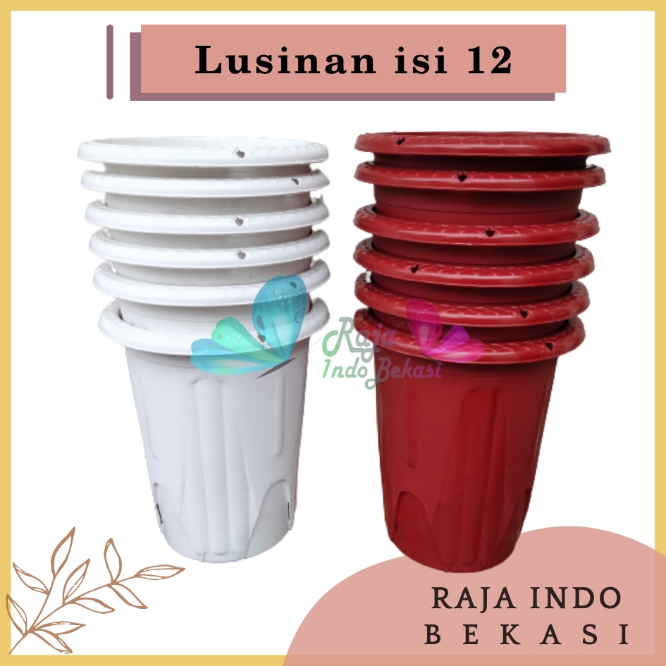 Rajaindobekasi Lusinan 12pcs Pot Golden Erna 20 Putih Bening Transparan Hitam Merah Bata Merah Coklat Terracota Terracotta Mirip Lusinan Pot Yogap 18 19 25 Murah Putih Coklat Merah Bata Bening Transparan Murah Pot Bunga Tinggi Pirus Tegak Bagus Tebal