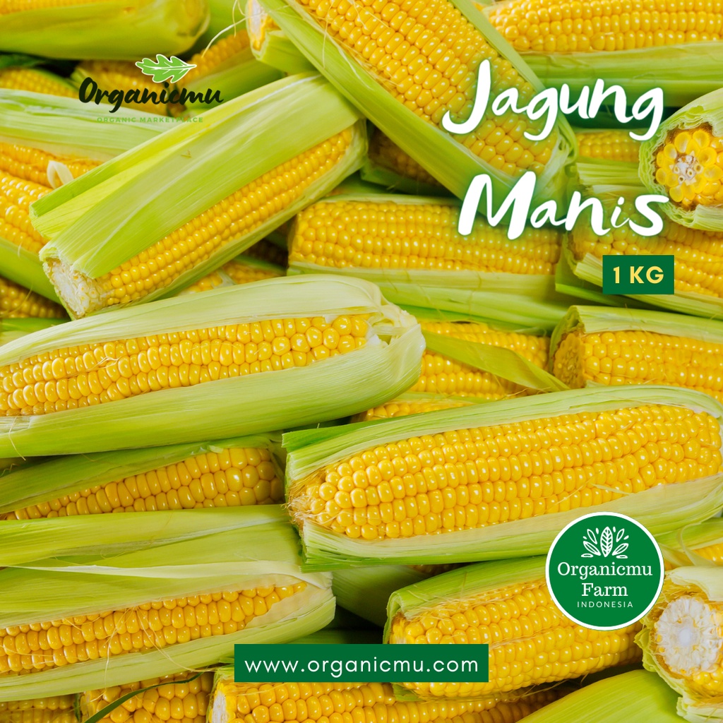 

Organicmu - Jagung Manis 1 kg