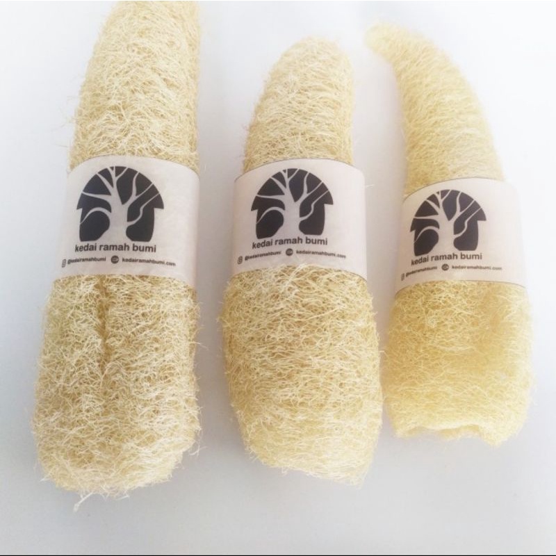 loofah/luffa/gambas kering/natural sponge