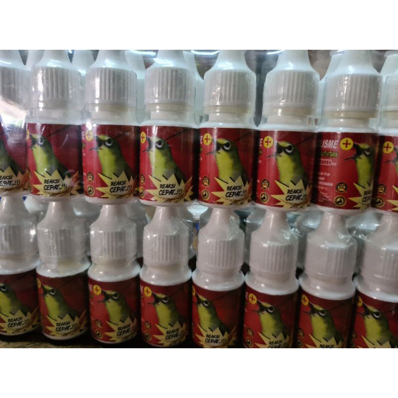 doping lomba pleci obat vitamin burung pleci gacor suara kencang