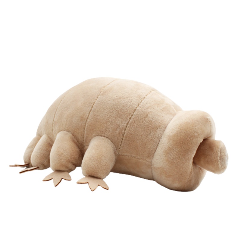 Mary Tardigrade Plush Untuk Boneka Kartun Beruang Air Mainan Mewah Lucu Deep Sea Creatures Pillow Baby Comfort Toy Room Decor G