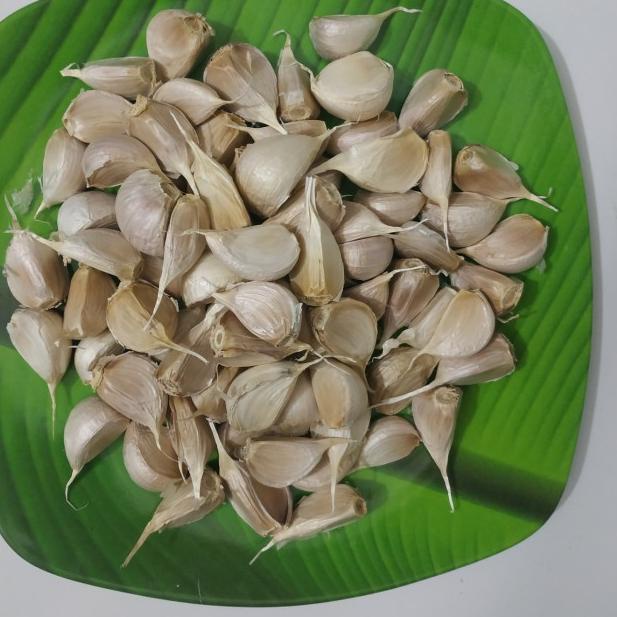 

♠ BAWANG PUTIH KATING 500 gr lebih harum | Sayuran buah segar Busayda ◊