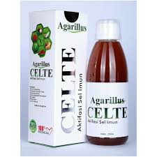 AGARILLUS CELTE - CELTE - ASLI ORIGINAL
