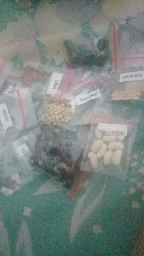 Benih Tanaman Oyong Gambas Biji Buah Bibit Sayur Sayuran Seed Refill