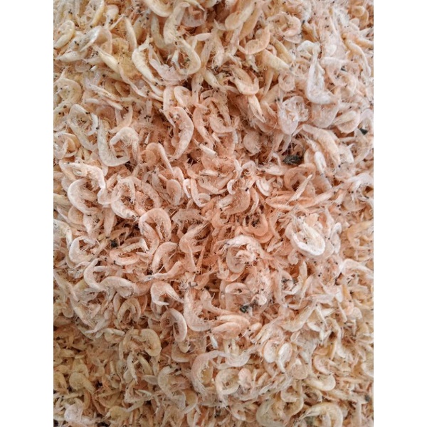 

ikan asin rebon segar 500gr
