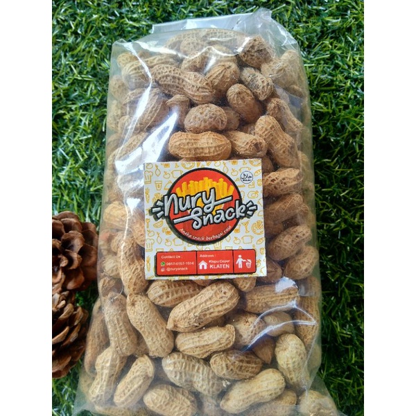 

kacang kulit sangrai