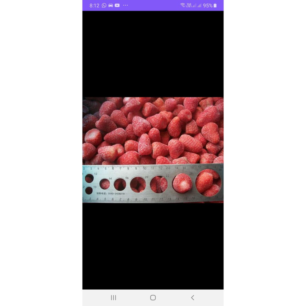 Frozen Strawberry import IQF 1 Kg