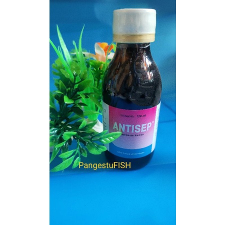 antisep 60 ml / antisep 120 ml antiseptik desinfektan semprot kandang-medion