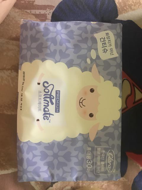 Softmate Dry N Wet Tissue I Varian Premium Basic Portable