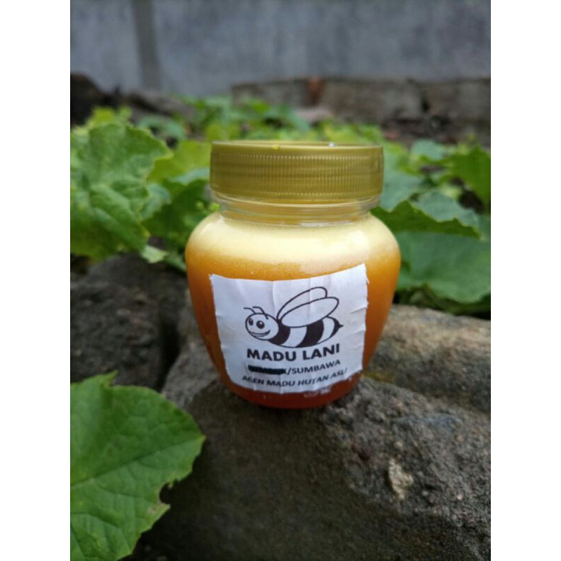 

Madu Asli hutan sumbawa 175ml