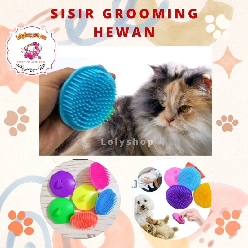 SISIR GROOMING KUCING ANJING