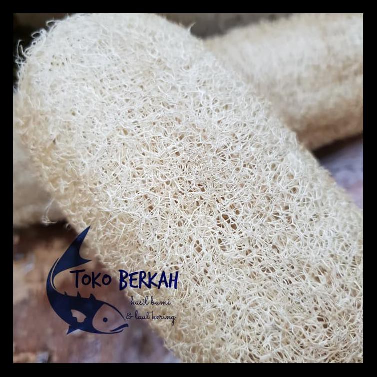 Sabut Oyong - Serat Oyong - Bath Sponge - Sabut Cuci Piring - Sedang Terlaris
