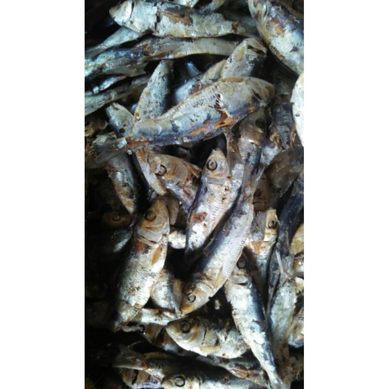 

ikan rebus Maning 1 kg