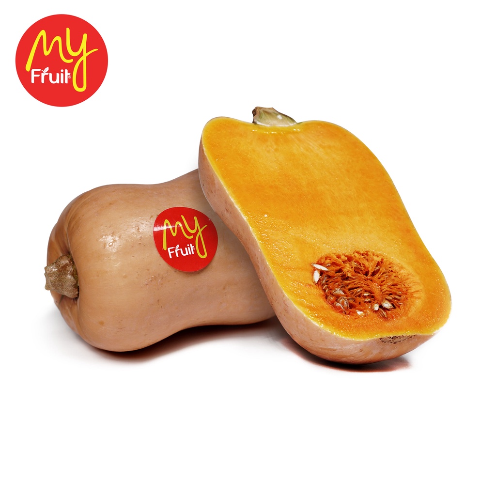 

My Fruit Vege Surabaya - Pumpkin/Butternut Squash [pcs]