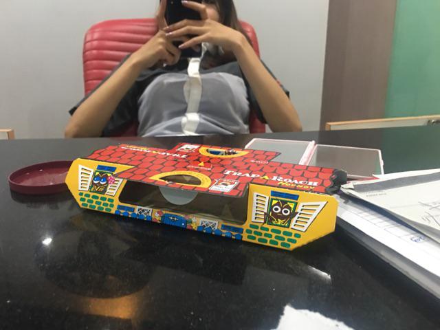 Rumah Kecoa Hoy Hoy Perangkap Kecoa Ampuh