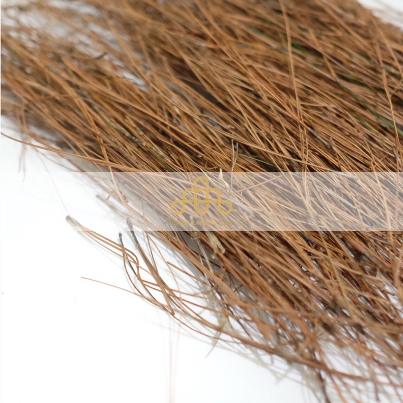 Dekorasi Mahar Daun Pinus Cemara Kering 50 Gram - Rumput Alas Seserahan Hampers - Bahan Sarang Burung Birdnest