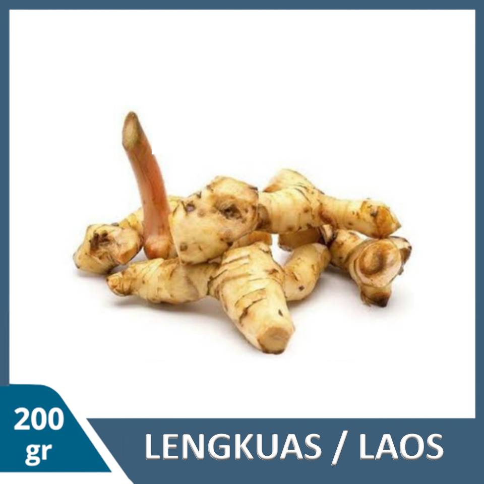 

Laos Lengkuas Segar 200 Gram Bumbu Rempah