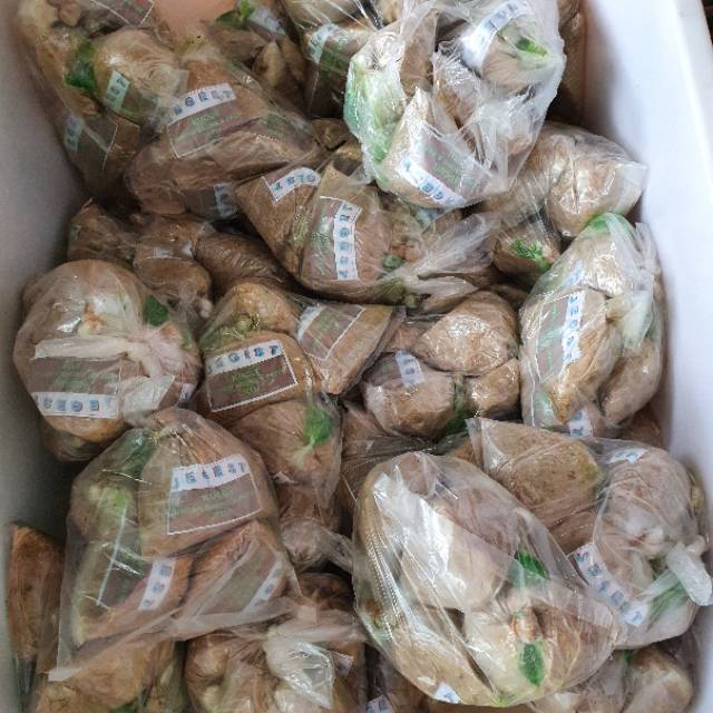 KUCUR JEGEST PALEMBANG / KUCUR PALEMBANG OKI PLASTIK / KUCUR JEGEST PLASTIK
