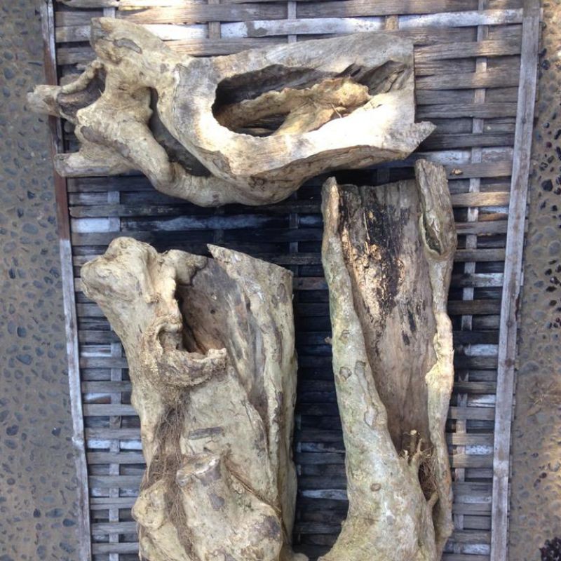 hiding cave - rumah reptil kayu kopi