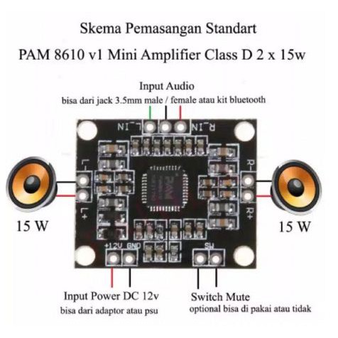 Power Mini Digital Audio Amplifier 12 Volt Class D PAM8610 2x15 watt