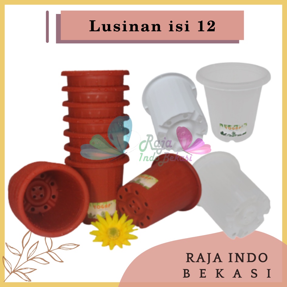 LUSINAN Pot Yogap 8