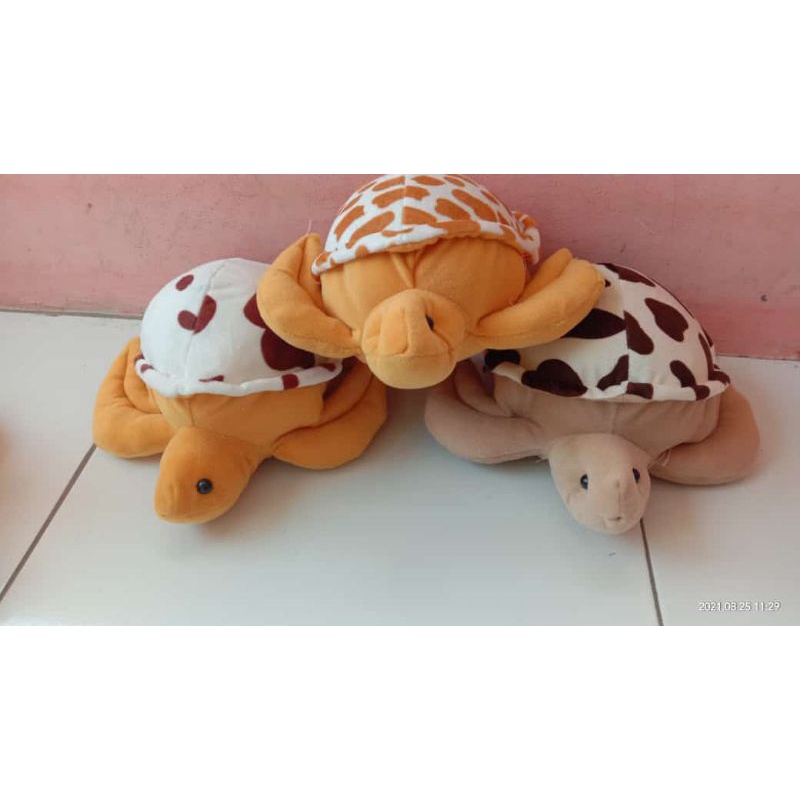 boneka kura-kura lucu ukuran s