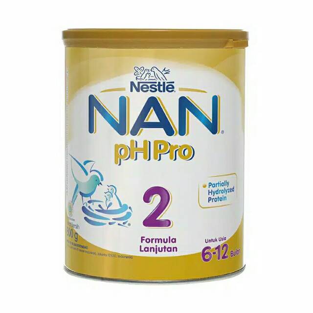 

Nan 2 800g