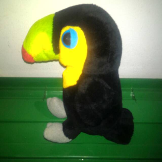 5600 Koleksi Gambar Burung Imut HD Terbaik