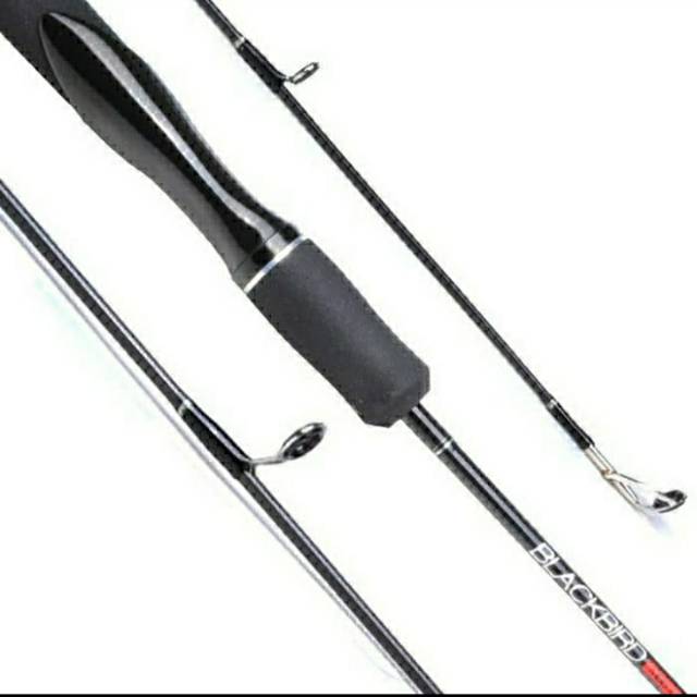 Joran maguro Blackbird 165 cm