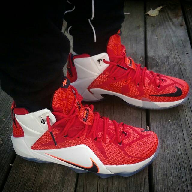 lebron 12 lion