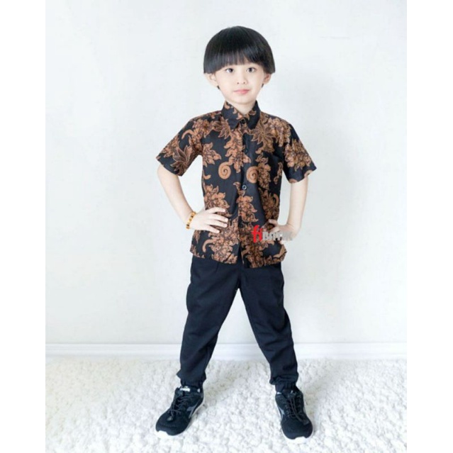 atasan baju batik anak pria lengan pendek/kemeja batik anak/Hem anak/baju batik anak lengan pendek