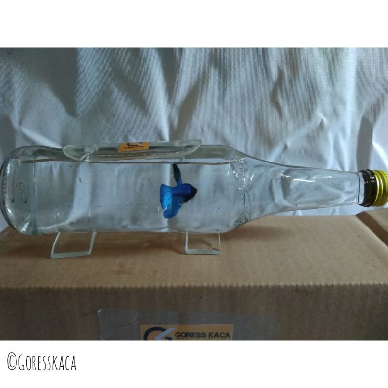 Aquarium mini berbahan botol Tipe OTL