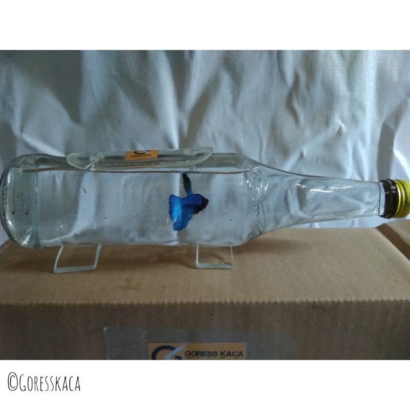 Aquarium mini berbahan botol Tipe OTL