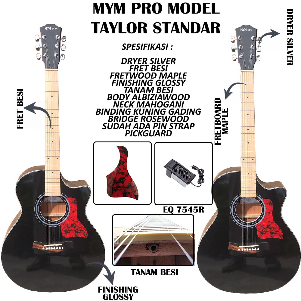 Gitar Taylor Akustik Elektrik Double Run Neck Utuh EQ 7545R