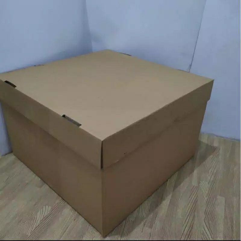 BOX BIG SIZE ASIA 40X40X25 KARDUS PACKING KARTON SERBAGUNA-2